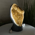 Extra Quality Citrine Cluster on Cement Base, 6.1 lbs and 8.8" Tall 5615 - 0054 - Brazil GemsBrazil GemsExtra Quality Citrine Cluster on Cement Base, 6.1 lbs and 8.8" Tall 5615 - 0054Clusters on Cement Bases5615 - 0054