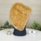 Extra Quality Citrine Cluster on Cement Base, 6.1 lbs and 8.8" Tall 5615 - 0054 - Brazil GemsBrazil GemsExtra Quality Citrine Cluster on Cement Base, 6.1 lbs and 8.8" Tall 5615 - 0054Clusters on Cement Bases5615 - 0054