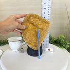 Extra Quality Citrine Cluster on Cement Base, 6.1 lbs and 8.8" Tall 5615 - 0054 - Brazil GemsBrazil GemsExtra Quality Citrine Cluster on Cement Base, 6.1 lbs and 8.8" Tall 5615 - 0054Clusters on Cement Bases5615 - 0054