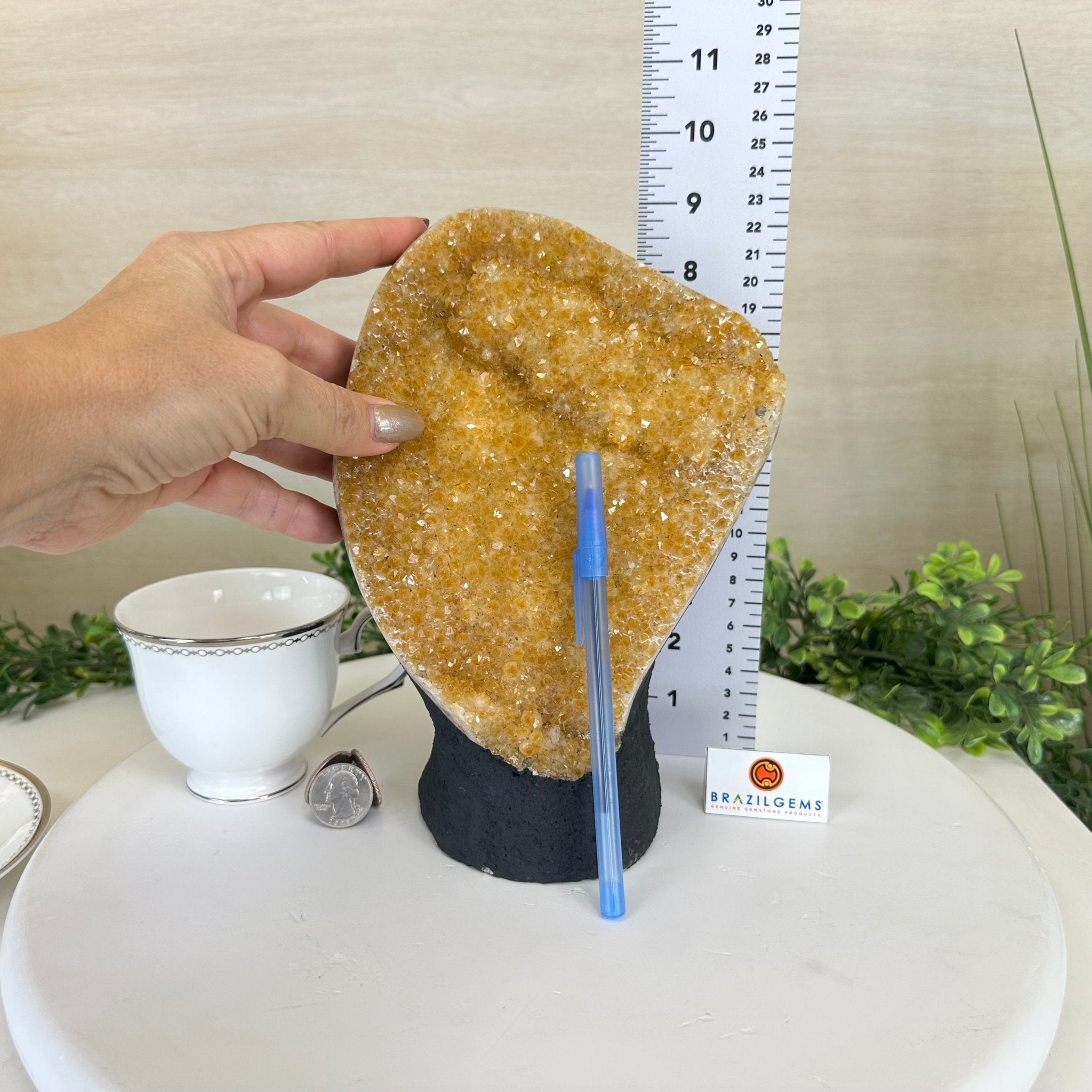 Extra Quality Citrine Cluster on Cement Base, 6.1 lbs and 8.8" Tall 5615 - 0054 - Brazil GemsBrazil GemsExtra Quality Citrine Cluster on Cement Base, 6.1 lbs and 8.8" Tall 5615 - 0054Clusters on Cement Bases5615 - 0054