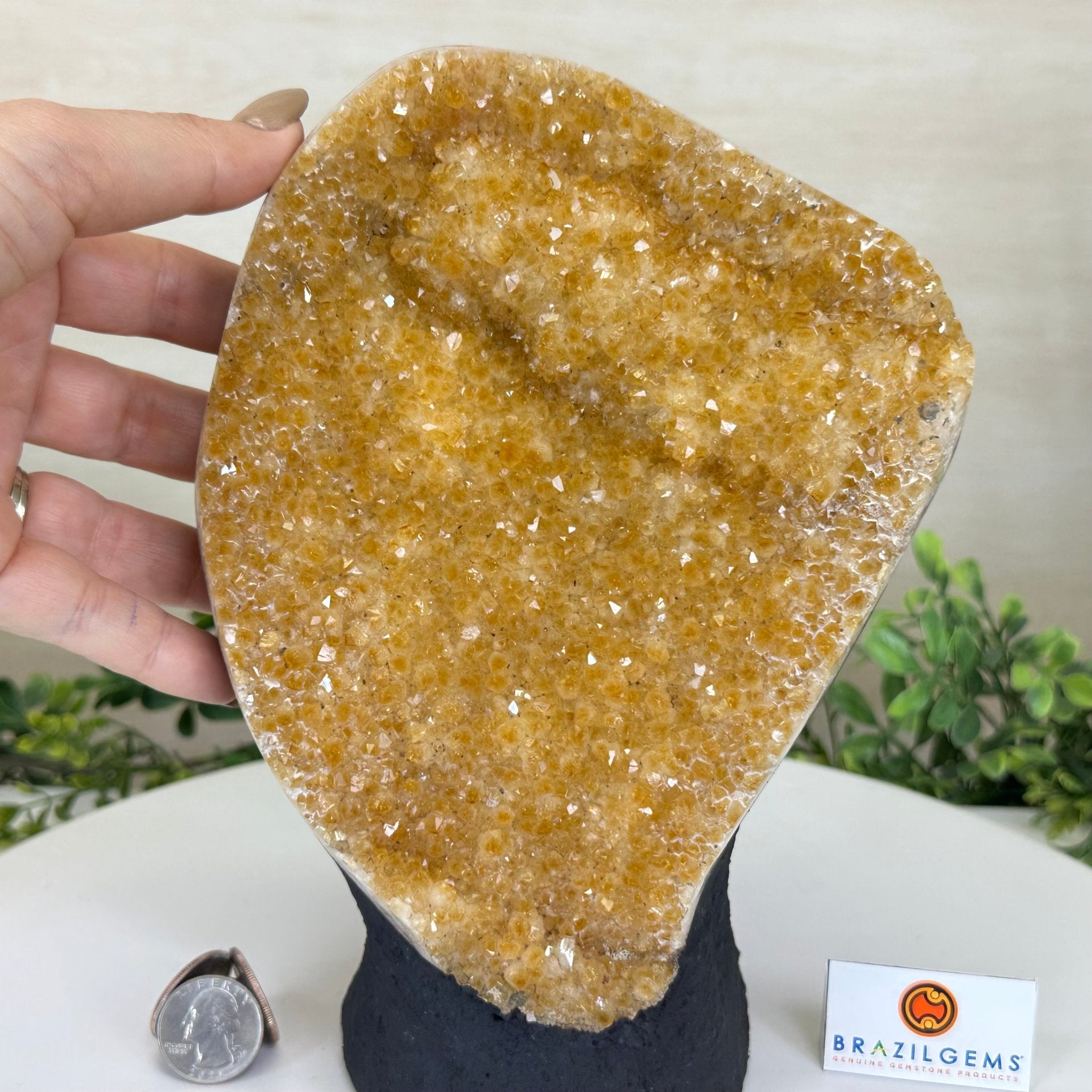 Extra Quality Citrine Cluster on Cement Base, 6.1 lbs and 8.8" Tall 5615 - 0054 - Brazil GemsBrazil GemsExtra Quality Citrine Cluster on Cement Base, 6.1 lbs and 8.8" Tall 5615 - 0054Clusters on Cement Bases5615 - 0054