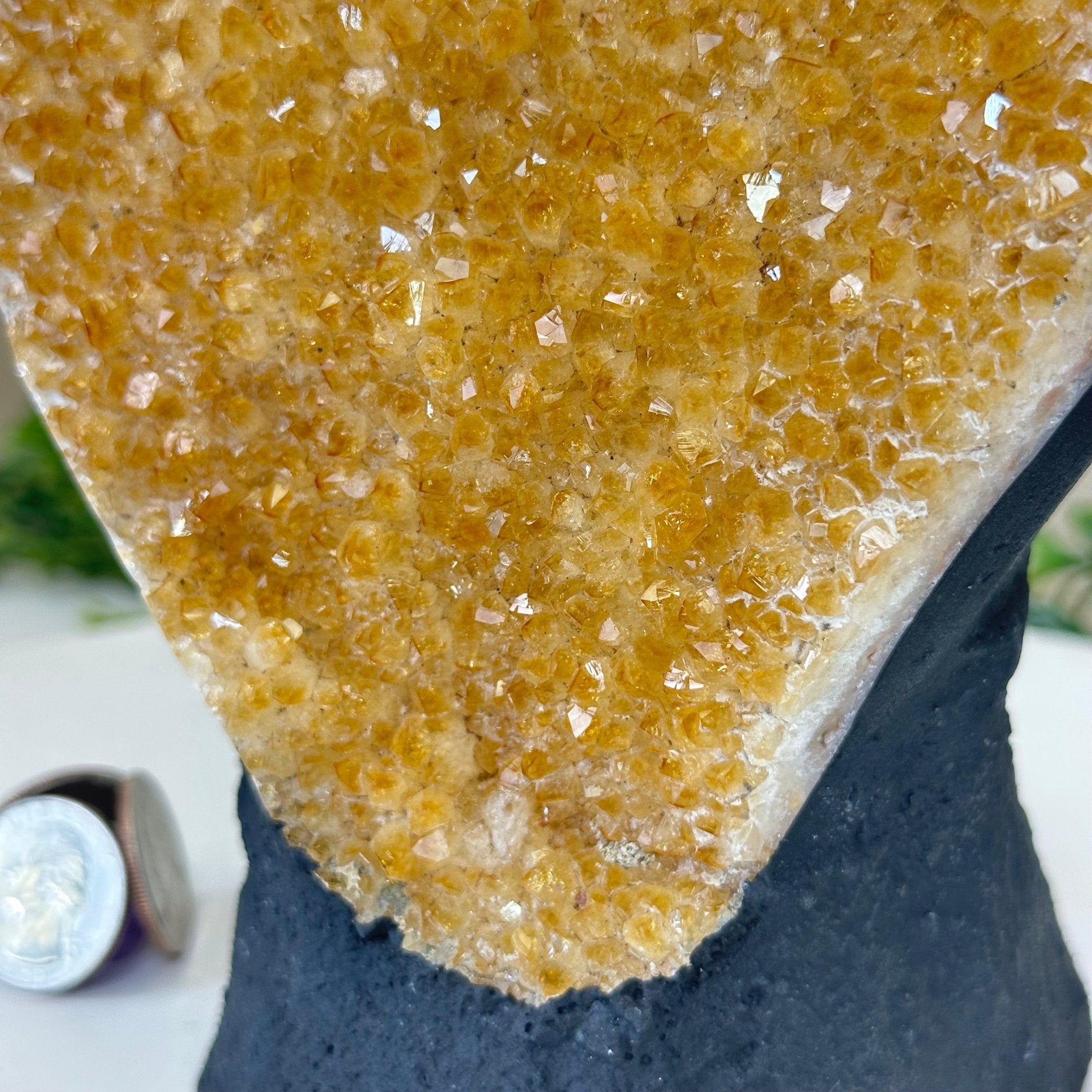 Extra Quality Citrine Cluster on Cement Base, 6.1 lbs and 8.8" Tall 5615 - 0054 - Brazil GemsBrazil GemsExtra Quality Citrine Cluster on Cement Base, 6.1 lbs and 8.8" Tall 5615 - 0054Clusters on Cement Bases5615 - 0054