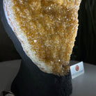 Extra Quality Citrine Cluster on Cement Base, 6.1 lbs and 8.8" Tall 5615 - 0054 - Brazil GemsBrazil GemsExtra Quality Citrine Cluster on Cement Base, 6.1 lbs and 8.8" Tall 5615 - 0054Clusters on Cement Bases5615 - 0054