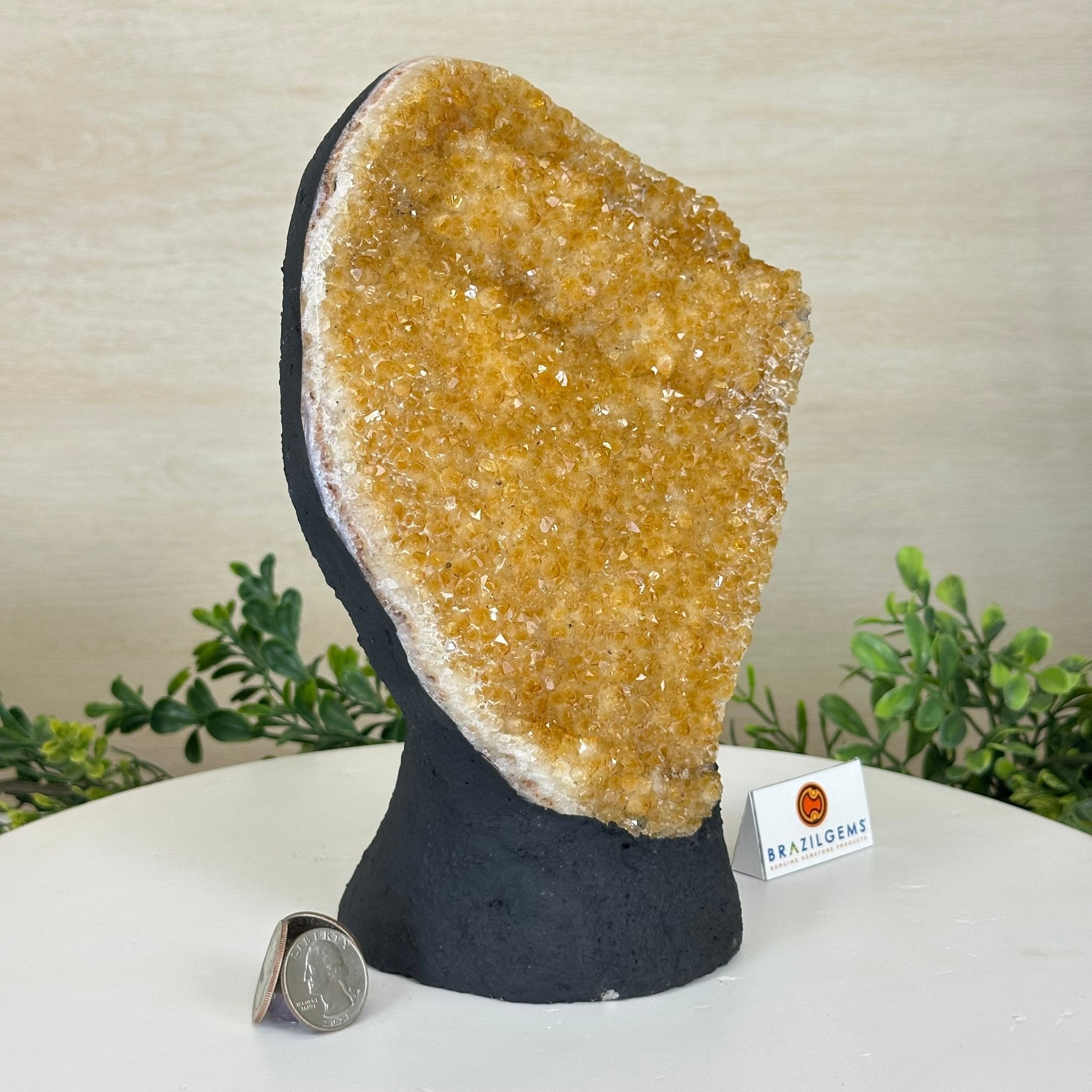 Extra Quality Citrine Cluster on Cement Base, 6.1 lbs and 8.8" Tall 5615 - 0054 - Brazil GemsBrazil GemsExtra Quality Citrine Cluster on Cement Base, 6.1 lbs and 8.8" Tall 5615 - 0054Clusters on Cement Bases5615 - 0054