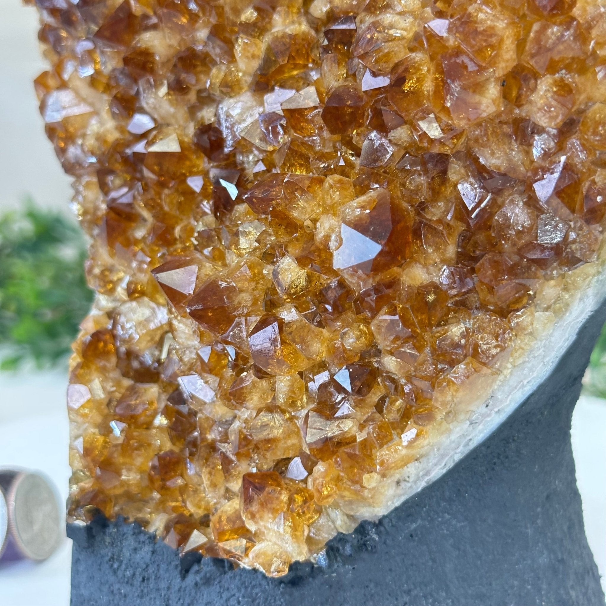 Extra Quality Citrine Cluster on Cement Base, 7.9 lbs and 7.3" Tall 5615 - 0059 - Brazil GemsBrazil GemsExtra Quality Citrine Cluster on Cement Base, 7.9 lbs and 7.3" Tall 5615 - 0059Clusters on Cement Bases5615 - 0059