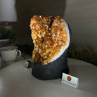Extra Quality Citrine Cluster on Cement Base, 7.9 lbs and 7.3" Tall 5615 - 0059 - Brazil GemsBrazil GemsExtra Quality Citrine Cluster on Cement Base, 7.9 lbs and 7.3" Tall 5615 - 0059Clusters on Cement Bases5615 - 0059