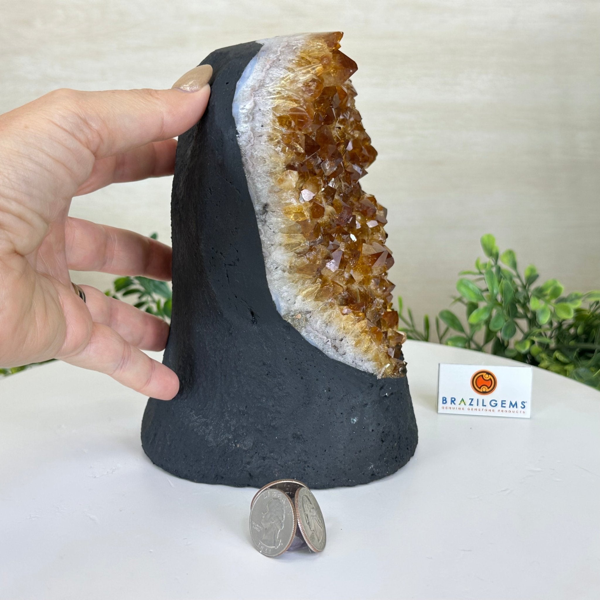 Extra Quality Citrine Cluster on Cement Base, 7.9 lbs and 7.3" Tall 5615 - 0059 - Brazil GemsBrazil GemsExtra Quality Citrine Cluster on Cement Base, 7.9 lbs and 7.3" Tall 5615 - 0059Clusters on Cement Bases5615 - 0059