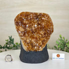 Extra Quality Citrine Cluster on Cement Base, 7.9 lbs and 7.3" Tall 5615 - 0059 - Brazil GemsBrazil GemsExtra Quality Citrine Cluster on Cement Base, 7.9 lbs and 7.3" Tall 5615 - 0059Clusters on Cement Bases5615 - 0059
