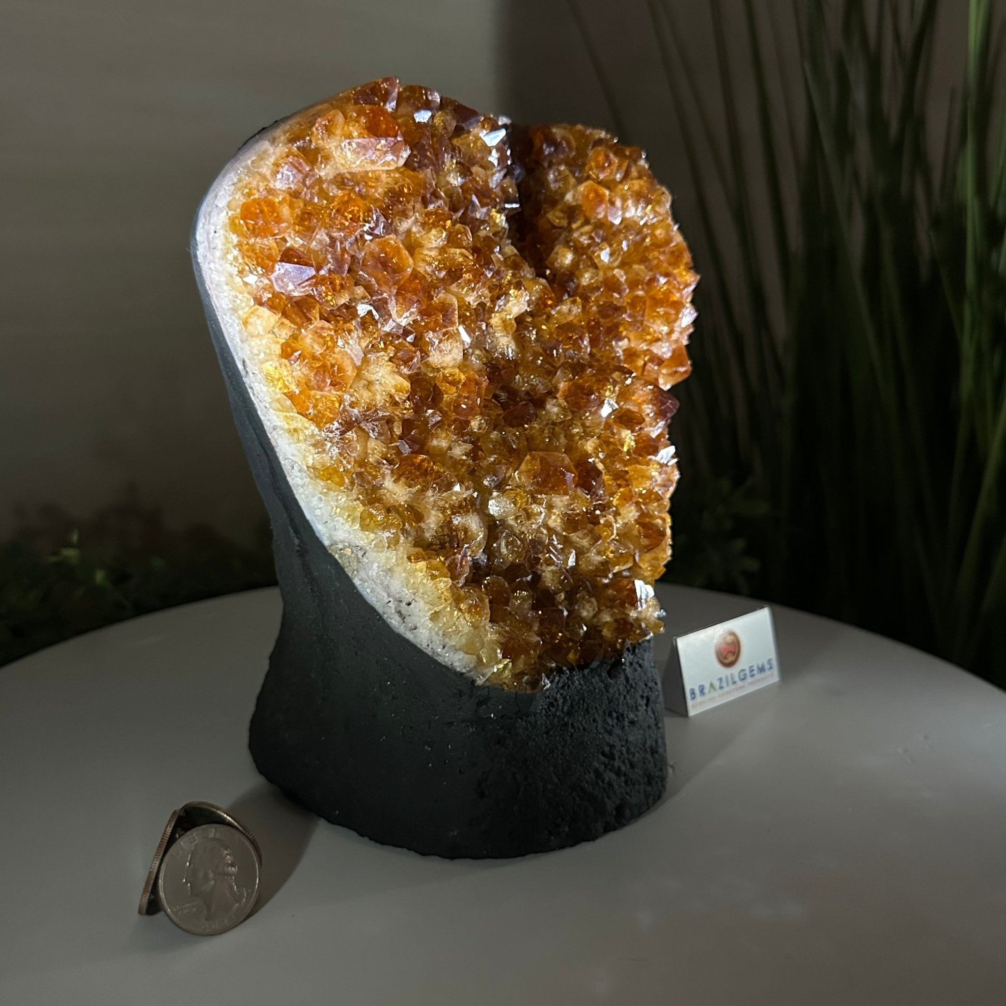 Extra Quality Citrine Cluster on Cement Base, 7.9 lbs and 7.3" Tall 5615 - 0059 - Brazil GemsBrazil GemsExtra Quality Citrine Cluster on Cement Base, 7.9 lbs and 7.3" Tall 5615 - 0059Clusters on Cement Bases5615 - 0059