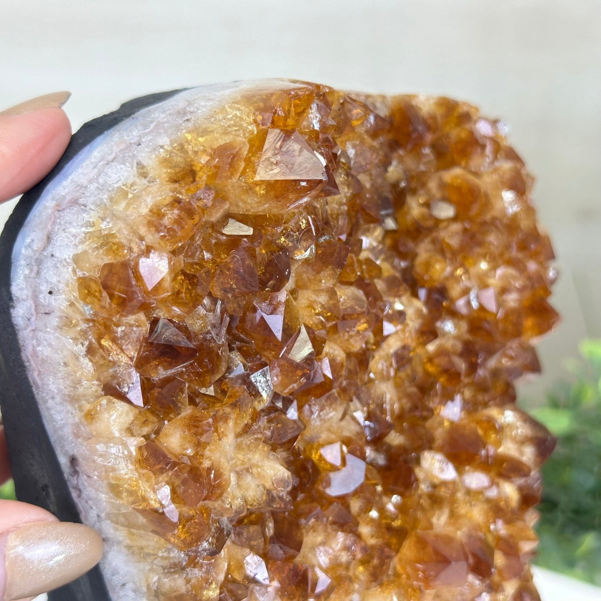 Extra Quality Citrine Cluster on Cement Base, 7.9 lbs and 7.3" Tall 5615 - 0059 - Brazil GemsBrazil GemsExtra Quality Citrine Cluster on Cement Base, 7.9 lbs and 7.3" Tall 5615 - 0059Clusters on Cement Bases5615 - 0059