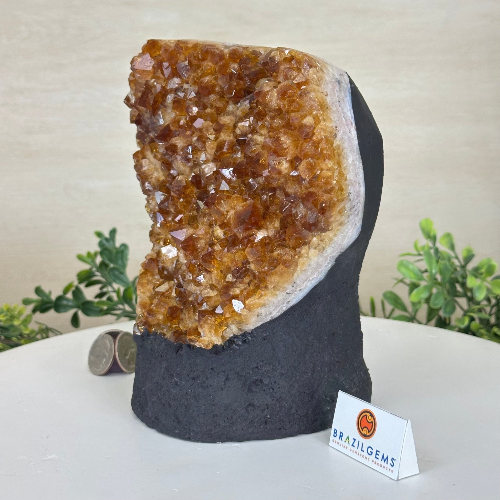 Extra Quality Citrine Cluster on Cement Base, 7.9 lbs and 7.3" Tall 5615 - 0059 - Brazil GemsBrazil GemsExtra Quality Citrine Cluster on Cement Base, 7.9 lbs and 7.3" Tall 5615 - 0059Clusters on Cement Bases5615 - 0059