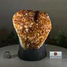 Extra Quality Citrine Cluster on Cement Base, 7.9 lbs and 7.3" Tall 5615 - 0059 - Brazil GemsBrazil GemsExtra Quality Citrine Cluster on Cement Base, 7.9 lbs and 7.3" Tall 5615 - 0059Clusters on Cement Bases5615 - 0059