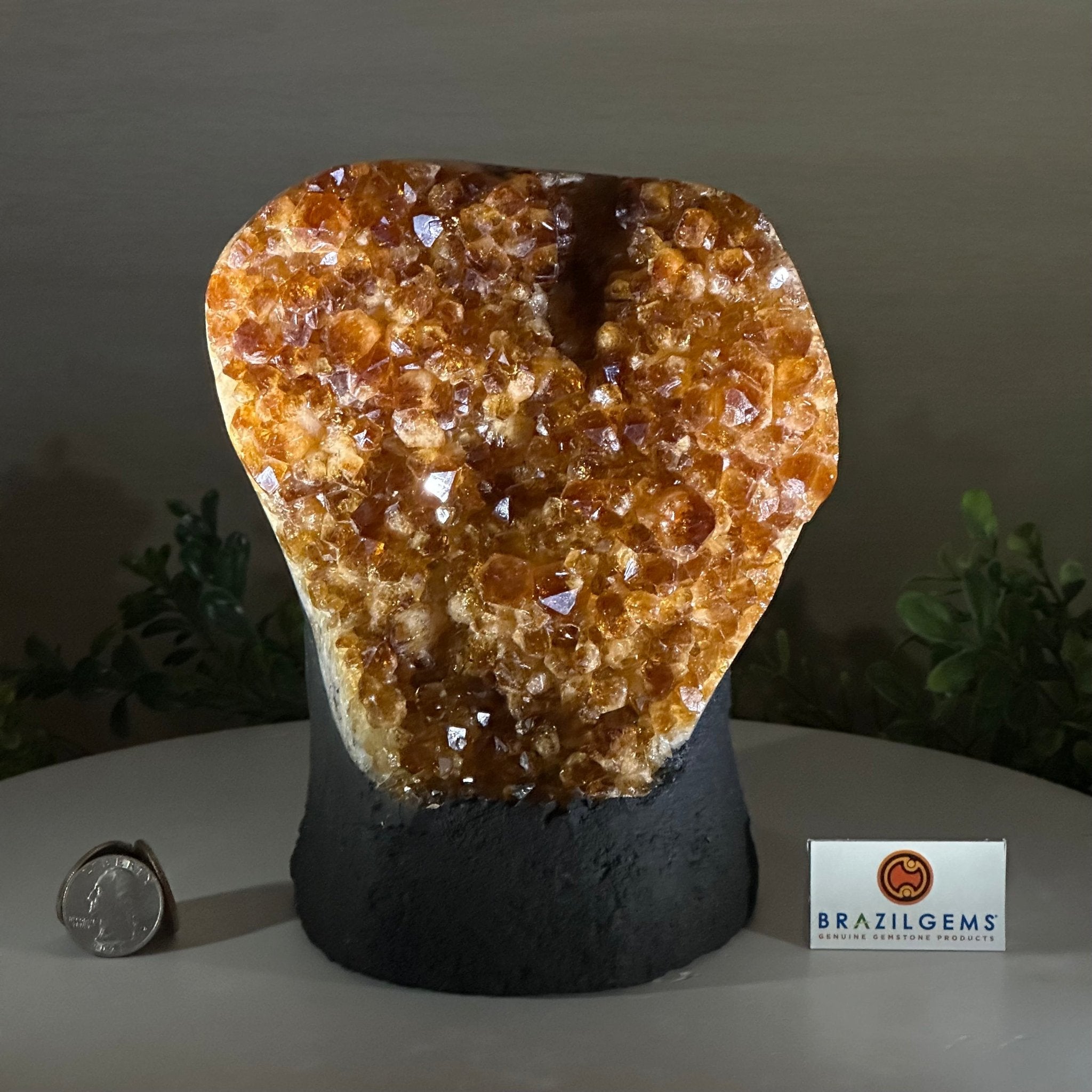 Extra Quality Citrine Cluster on Cement Base, 7.9 lbs and 7.3" Tall 5615 - 0059 - Brazil GemsBrazil GemsExtra Quality Citrine Cluster on Cement Base, 7.9 lbs and 7.3" Tall 5615 - 0059Clusters on Cement Bases5615 - 0059