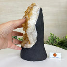 Extra Quality Citrine Cluster on Cement Base, 7.9 lbs and 8.8" Tall 5615 - 0057 - Brazil GemsBrazil GemsExtra Quality Citrine Cluster on Cement Base, 7.9 lbs and 8.8" Tall 5615 - 0057Clusters on Cement Bases5615 - 0057