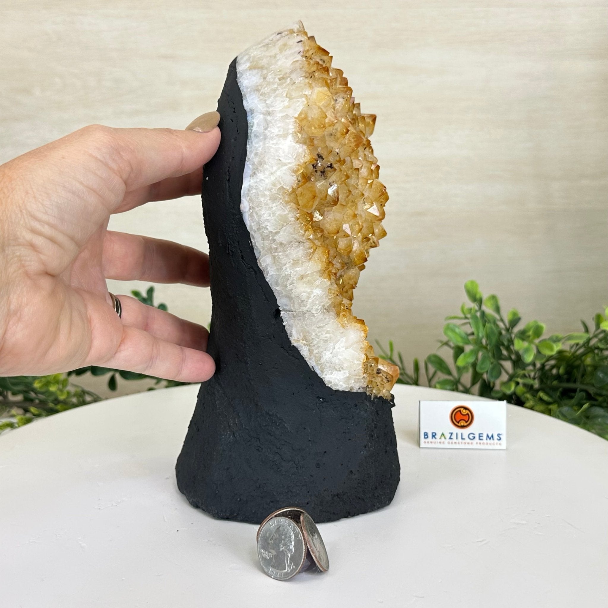 Extra Quality Citrine Cluster on Cement Base, 7.9 lbs and 8.8" Tall 5615 - 0057 - Brazil GemsBrazil GemsExtra Quality Citrine Cluster on Cement Base, 7.9 lbs and 8.8" Tall 5615 - 0057Clusters on Cement Bases5615 - 0057