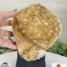 Extra Quality Citrine Cluster on Cement Base, 7.9 lbs and 8.8" Tall 5615 - 0057 - Brazil GemsBrazil GemsExtra Quality Citrine Cluster on Cement Base, 7.9 lbs and 8.8" Tall 5615 - 0057Clusters on Cement Bases5615 - 0057
