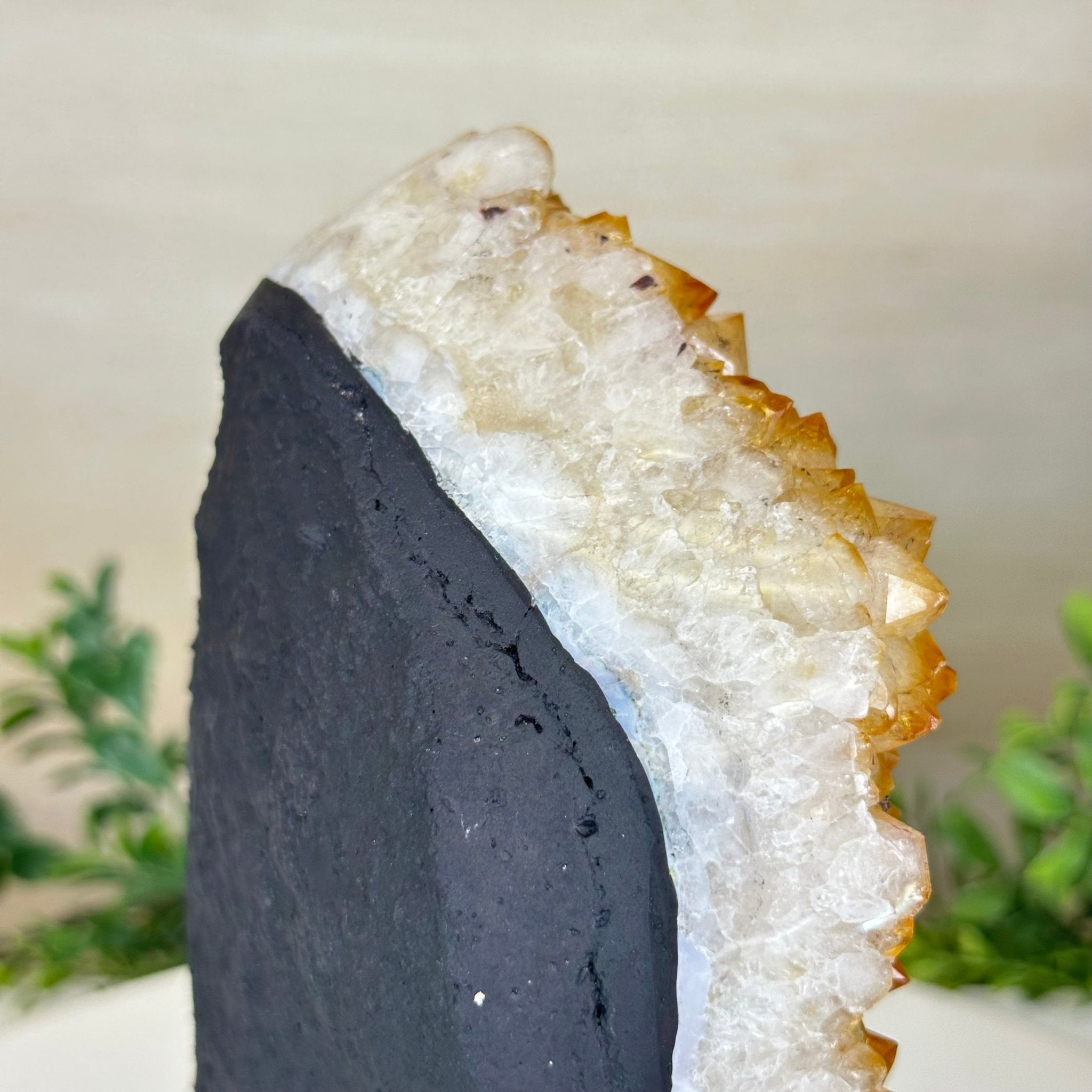 Extra Quality Citrine Cluster on Cement Base, 7.9 lbs and 8.8" Tall 5615 - 0057 - Brazil GemsBrazil GemsExtra Quality Citrine Cluster on Cement Base, 7.9 lbs and 8.8" Tall 5615 - 0057Clusters on Cement Bases5615 - 0057