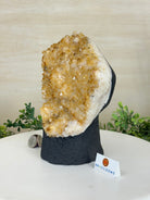 Extra Quality Citrine Cluster on Cement Base, 7.9 lbs and 8.8" Tall 5615 - 0057 - Brazil GemsBrazil GemsExtra Quality Citrine Cluster on Cement Base, 7.9 lbs and 8.8" Tall 5615 - 0057Clusters on Cement Bases5615 - 0057