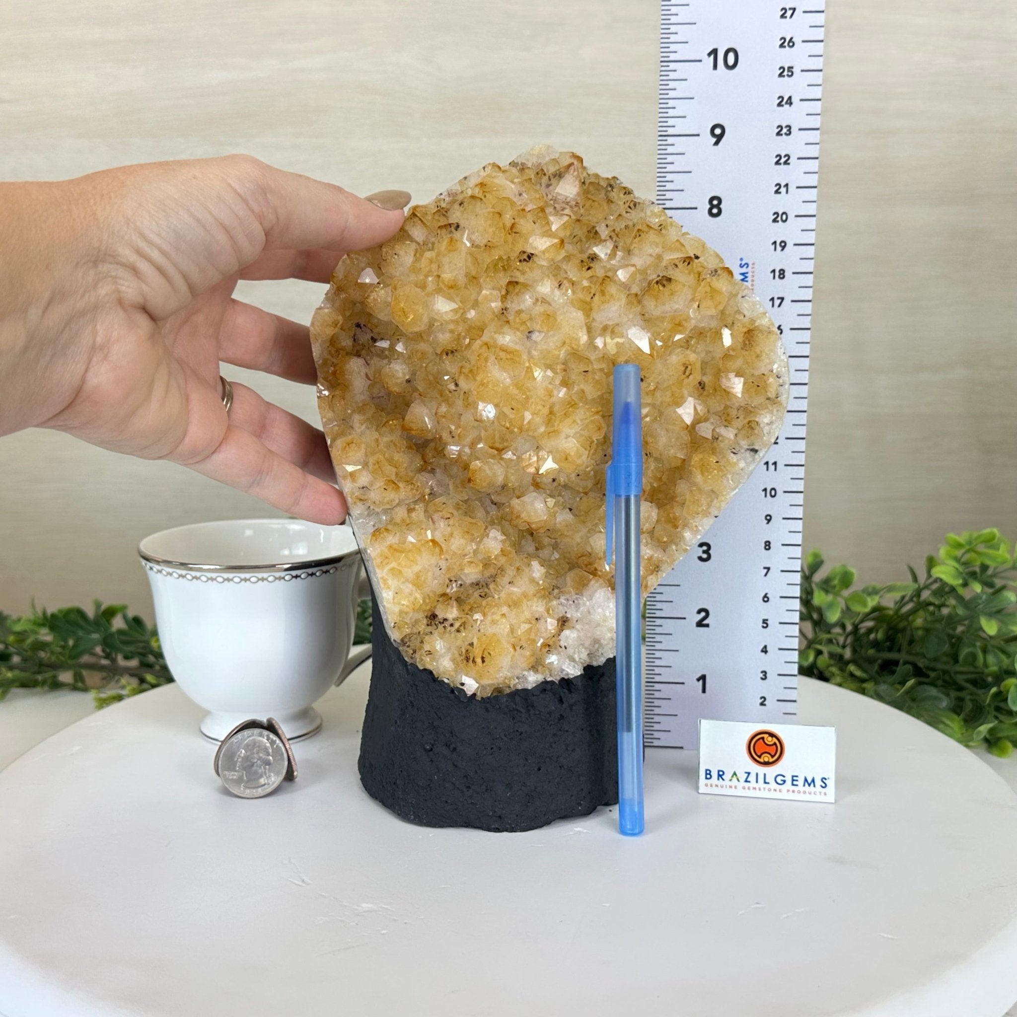 Extra Quality Citrine Cluster on Cement Base, 7.9 lbs and 8.8" Tall 5615 - 0057 - Brazil GemsBrazil GemsExtra Quality Citrine Cluster on Cement Base, 7.9 lbs and 8.8" Tall 5615 - 0057Clusters on Cement Bases5615 - 0057