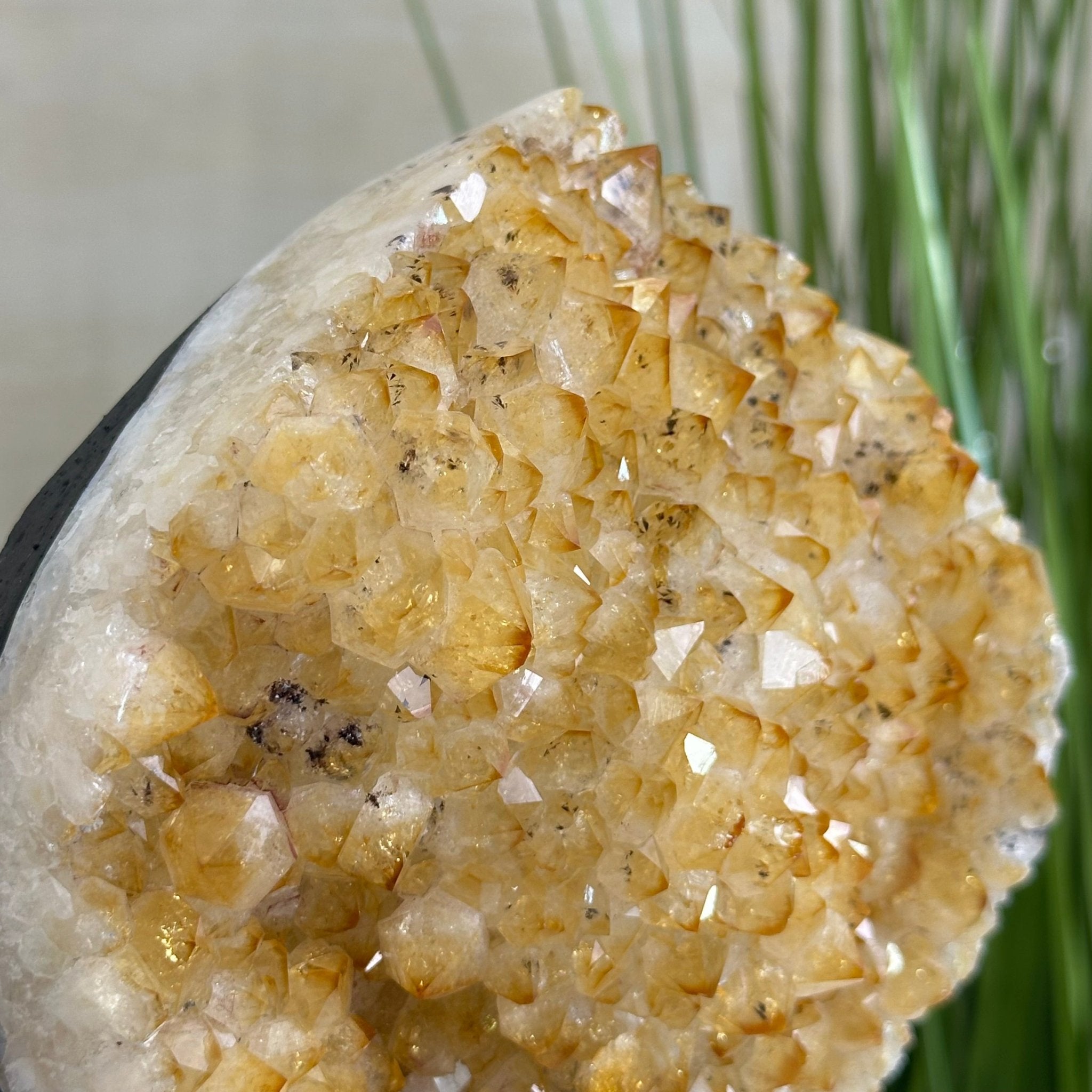 Extra Quality Citrine Cluster on Cement Base, 7.9 lbs and 8.8" Tall 5615 - 0057 - Brazil GemsBrazil GemsExtra Quality Citrine Cluster on Cement Base, 7.9 lbs and 8.8" Tall 5615 - 0057Clusters on Cement Bases5615 - 0057