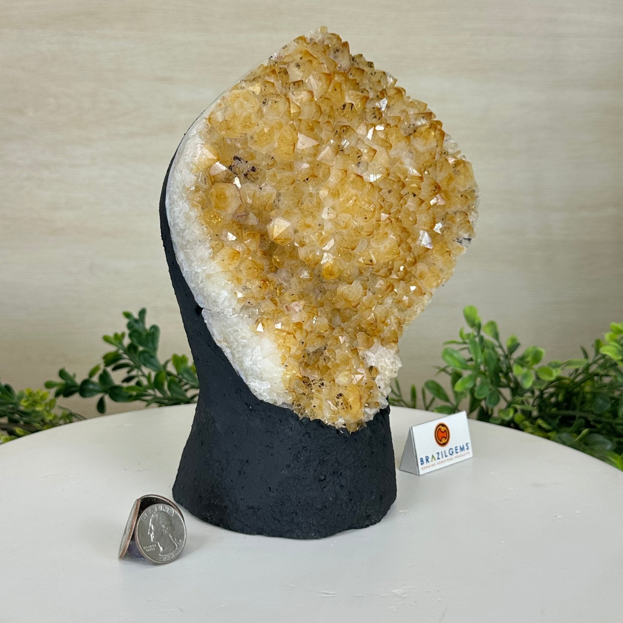 Extra Quality Citrine Cluster on Cement Base, 7.9 lbs and 8.8" Tall 5615 - 0057 - Brazil GemsBrazil GemsExtra Quality Citrine Cluster on Cement Base, 7.9 lbs and 8.8" Tall 5615 - 0057Clusters on Cement Bases5615 - 0057