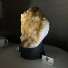 Extra Quality Citrine Cluster on Cement Base, 7.9 lbs and 8.8" Tall 5615 - 0057 - Brazil GemsBrazil GemsExtra Quality Citrine Cluster on Cement Base, 7.9 lbs and 8.8" Tall 5615 - 0057Clusters on Cement Bases5615 - 0057