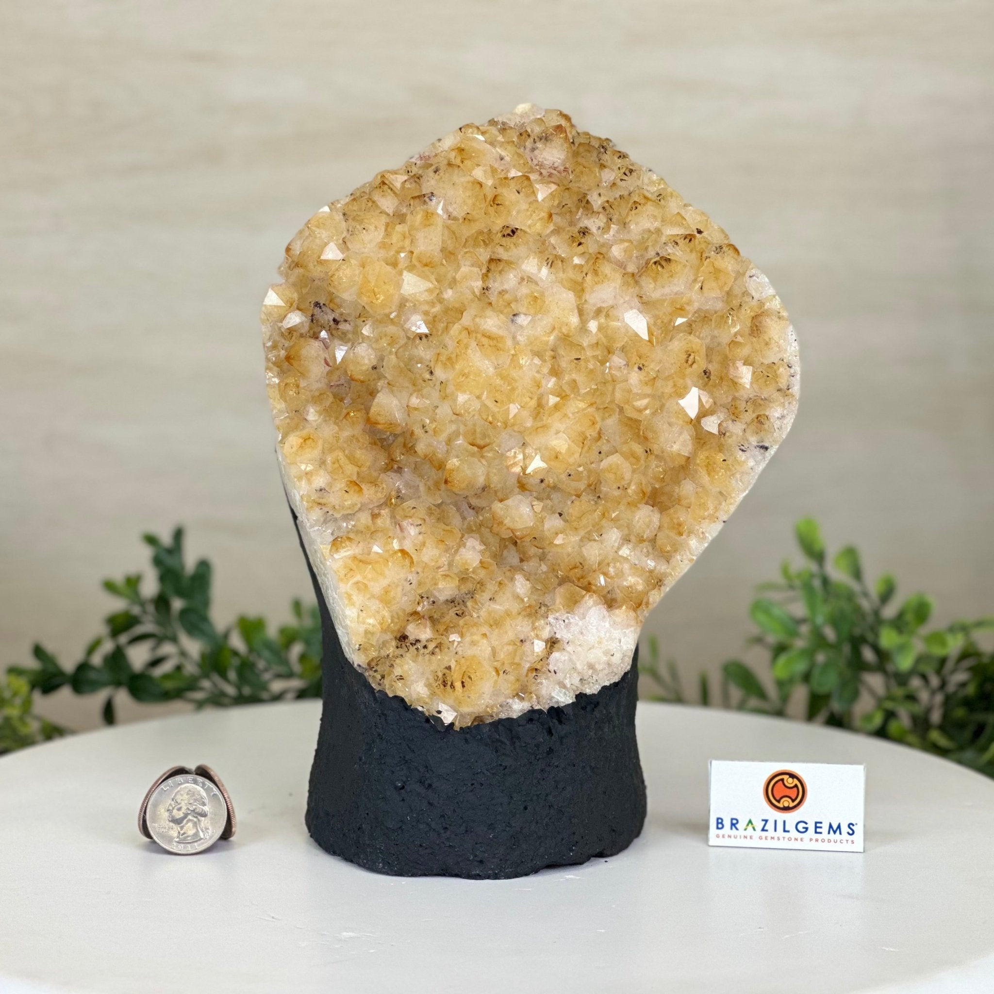 Extra Quality Citrine Cluster on Cement Base, 7.9 lbs and 8.8" Tall 5615 - 0057 - Brazil GemsBrazil GemsExtra Quality Citrine Cluster on Cement Base, 7.9 lbs and 8.8" Tall 5615 - 0057Clusters on Cement Bases5615 - 0057