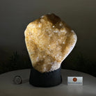 Extra Quality Citrine Cluster on Cement Base, 7.9 lbs and 8.8" Tall 5615 - 0057 - Brazil GemsBrazil GemsExtra Quality Citrine Cluster on Cement Base, 7.9 lbs and 8.8" Tall 5615 - 0057Clusters on Cement Bases5615 - 0057
