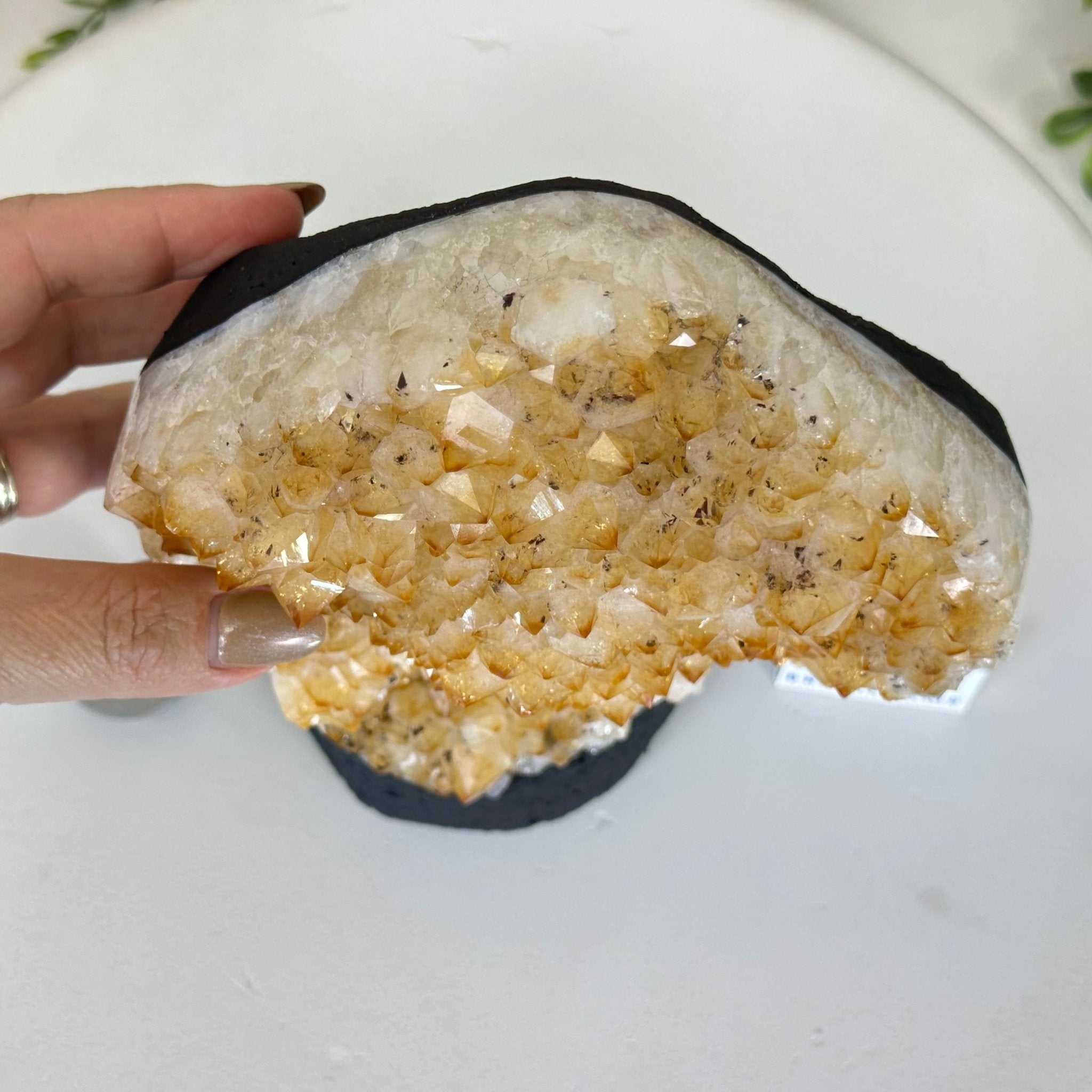 Extra Quality Citrine Cluster on Cement Base, 7.9 lbs and 8.8" Tall 5615 - 0057 - Brazil GemsBrazil GemsExtra Quality Citrine Cluster on Cement Base, 7.9 lbs and 8.8" Tall 5615 - 0057Clusters on Cement Bases5615 - 0057