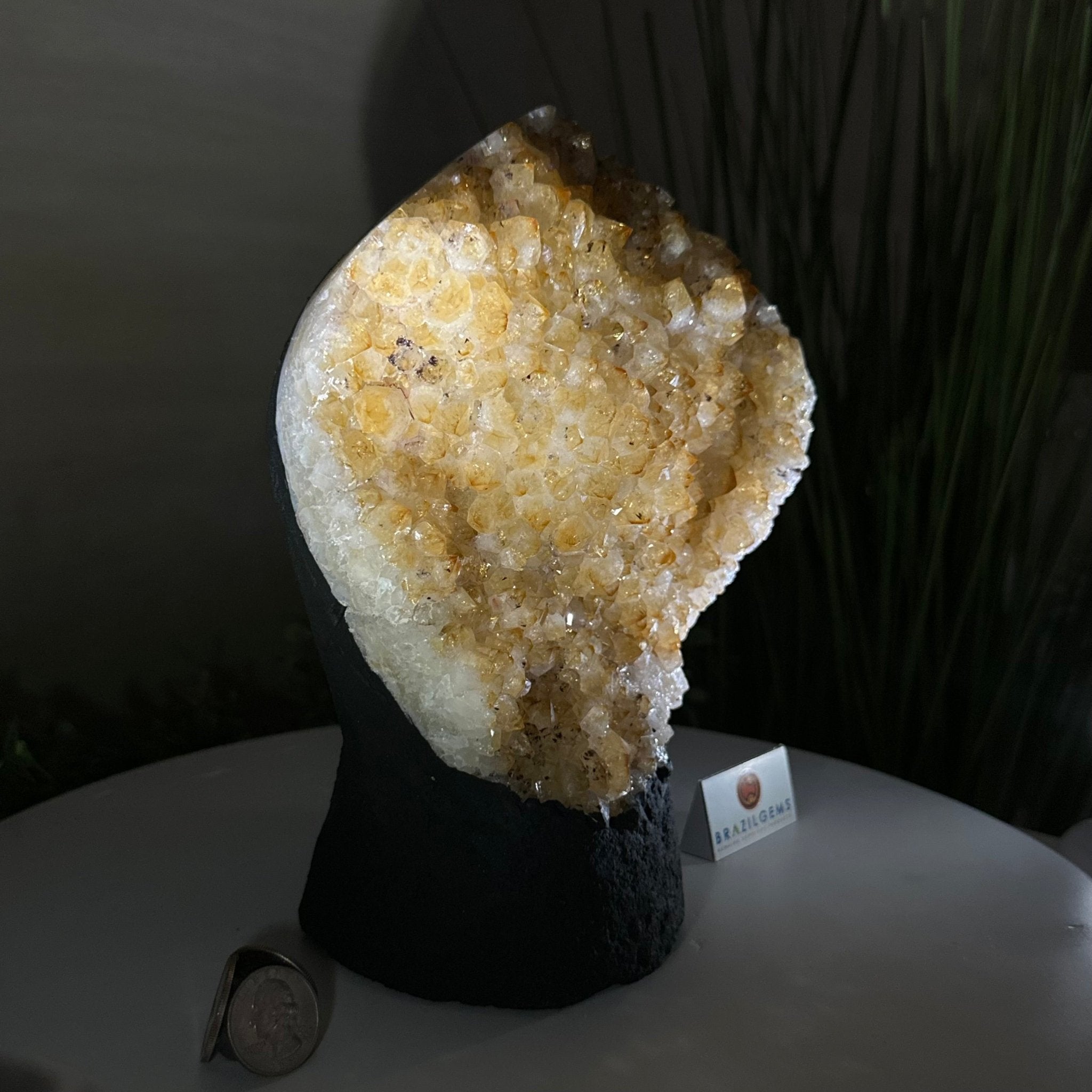 Extra Quality Citrine Cluster on Cement Base, 7.9 lbs and 8.8" Tall 5615 - 0057 - Brazil GemsBrazil GemsExtra Quality Citrine Cluster on Cement Base, 7.9 lbs and 8.8" Tall 5615 - 0057Clusters on Cement Bases5615 - 0057