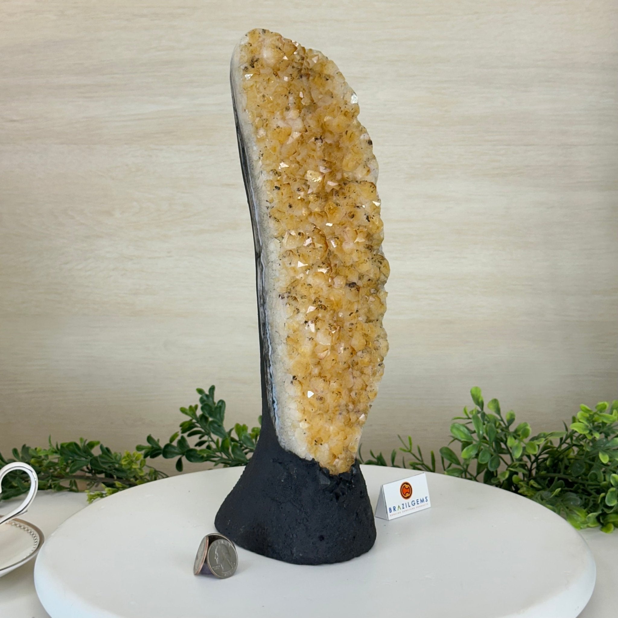 Extra Quality Citrine Cluster on Cement Base, 8.4 lbs and 13.4" Tall 5615 - 0060 - Brazil GemsBrazil GemsExtra Quality Citrine Cluster on Cement Base, 8.4 lbs and 13.4" Tall 5615 - 0060Clusters on Cement Bases5615 - 0060