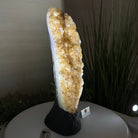 Extra Quality Citrine Cluster on Cement Base, 8.4 lbs and 13.4" Tall 5615 - 0060 - Brazil GemsBrazil GemsExtra Quality Citrine Cluster on Cement Base, 8.4 lbs and 13.4" Tall 5615 - 0060Clusters on Cement Bases5615 - 0060