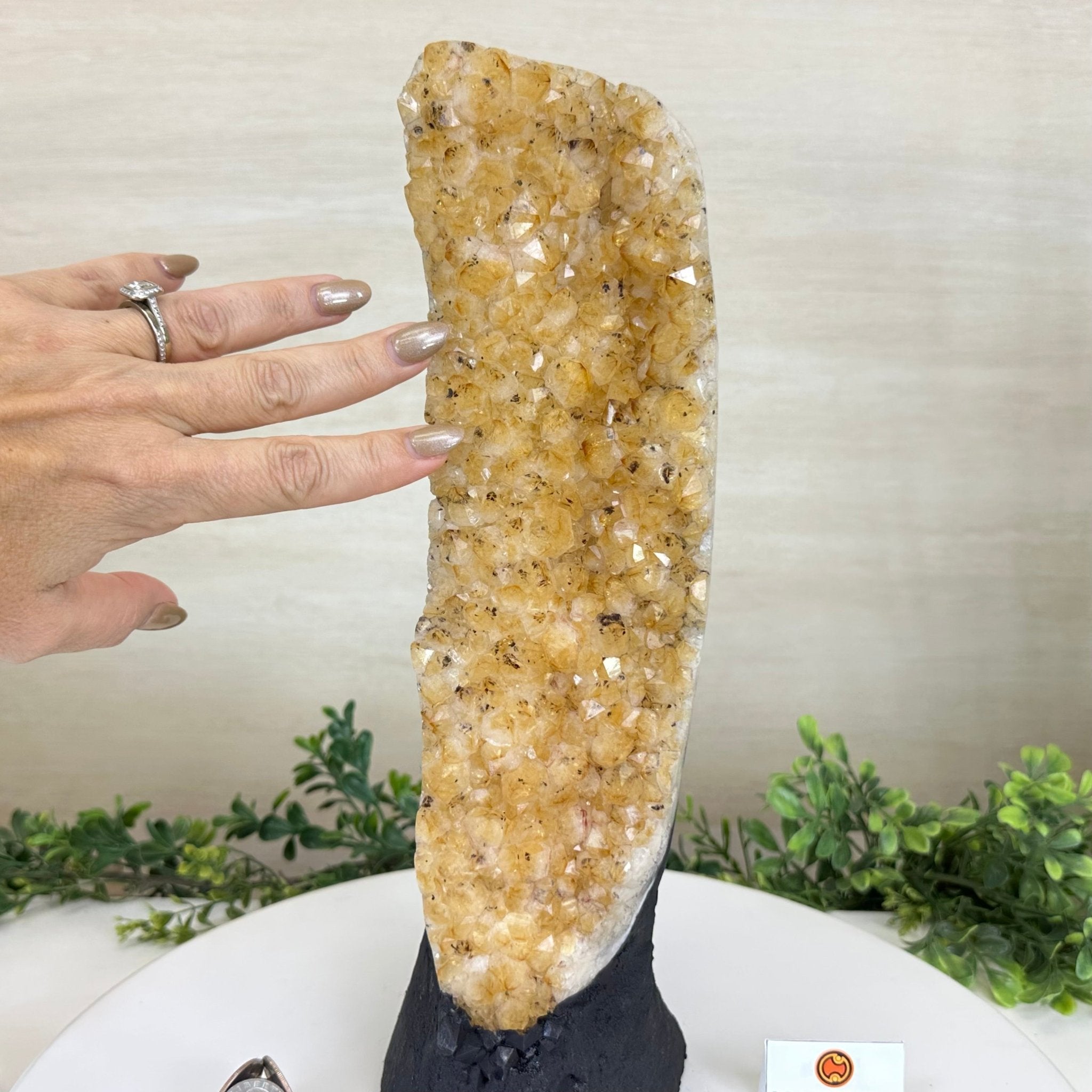 Extra Quality Citrine Cluster on Cement Base, 8.4 lbs and 13.4" Tall 5615 - 0060 - Brazil GemsBrazil GemsExtra Quality Citrine Cluster on Cement Base, 8.4 lbs and 13.4" Tall 5615 - 0060Clusters on Cement Bases5615 - 0060