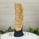 Extra Quality Citrine Cluster on Cement Base, 8.4 lbs and 13.4" Tall 5615 - 0060 - Brazil GemsBrazil GemsExtra Quality Citrine Cluster on Cement Base, 8.4 lbs and 13.4" Tall 5615 - 0060Clusters on Cement Bases5615 - 0060