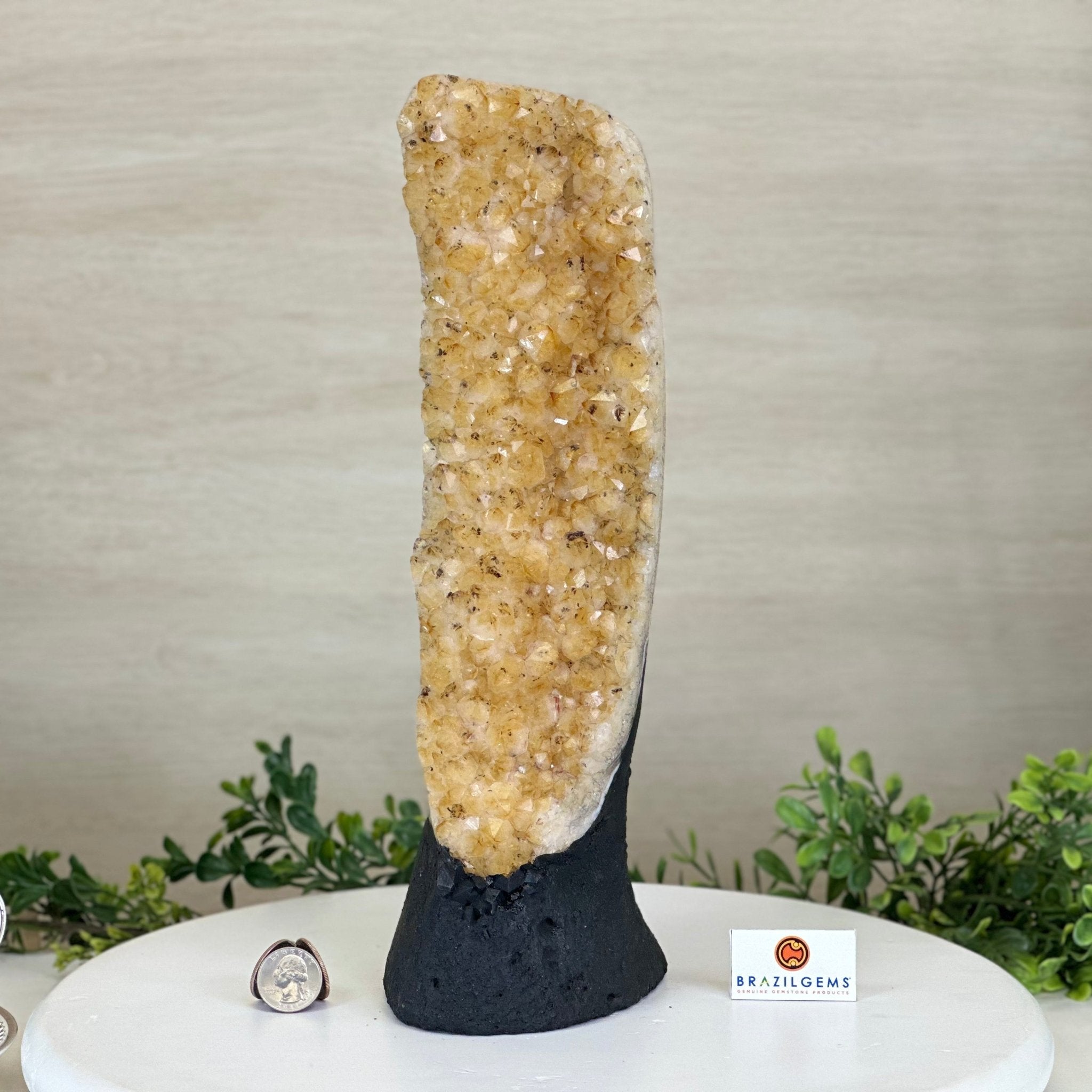 Extra Quality Citrine Cluster on Cement Base, 8.4 lbs and 13.4" Tall 5615 - 0060 - Brazil GemsBrazil GemsExtra Quality Citrine Cluster on Cement Base, 8.4 lbs and 13.4" Tall 5615 - 0060Clusters on Cement Bases5615 - 0060