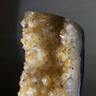 Extra Quality Citrine Cluster on Cement Base, 8.4 lbs and 13.4" Tall 5615 - 0060 - Brazil GemsBrazil GemsExtra Quality Citrine Cluster on Cement Base, 8.4 lbs and 13.4" Tall 5615 - 0060Clusters on Cement Bases5615 - 0060