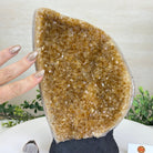 Extra Quality Citrine Cluster on Cement Base, 8.6 lbs and 10" Tall 5615 - 0061 - Brazil GemsBrazil GemsExtra Quality Citrine Cluster on Cement Base, 8.6 lbs and 10" Tall 5615 - 0061Clusters on Cement Bases5615 - 0061