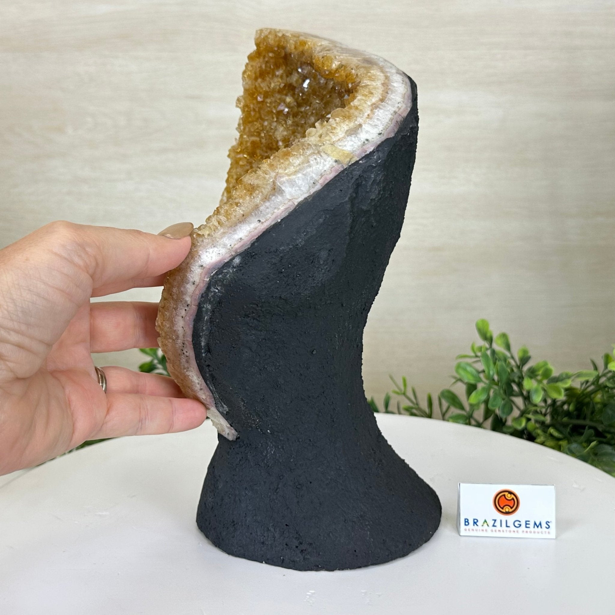 Extra Quality Citrine Cluster on Cement Base, 8.6 lbs and 10" Tall 5615 - 0061 - Brazil GemsBrazil GemsExtra Quality Citrine Cluster on Cement Base, 8.6 lbs and 10" Tall 5615 - 0061Clusters on Cement Bases5615 - 0061