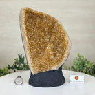 Extra Quality Citrine Cluster on Cement Base, 8.6 lbs and 10" Tall 5615 - 0061 - Brazil GemsBrazil GemsExtra Quality Citrine Cluster on Cement Base, 8.6 lbs and 10" Tall 5615 - 0061Clusters on Cement Bases5615 - 0061