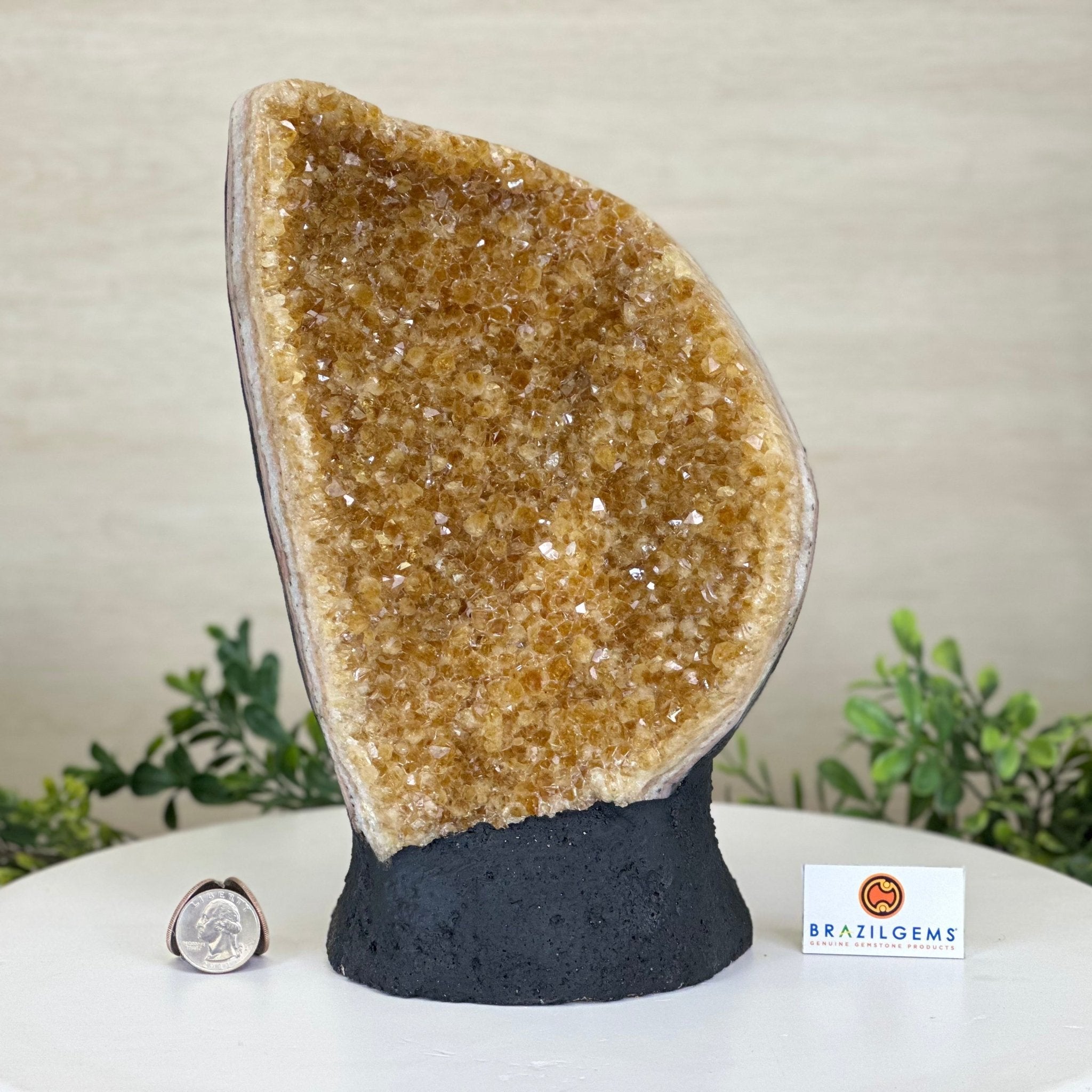 Extra Quality Citrine Cluster on Cement Base, 8.6 lbs and 10" Tall 5615 - 0061 - Brazil GemsBrazil GemsExtra Quality Citrine Cluster on Cement Base, 8.6 lbs and 10" Tall 5615 - 0061Clusters on Cement Bases5615 - 0061