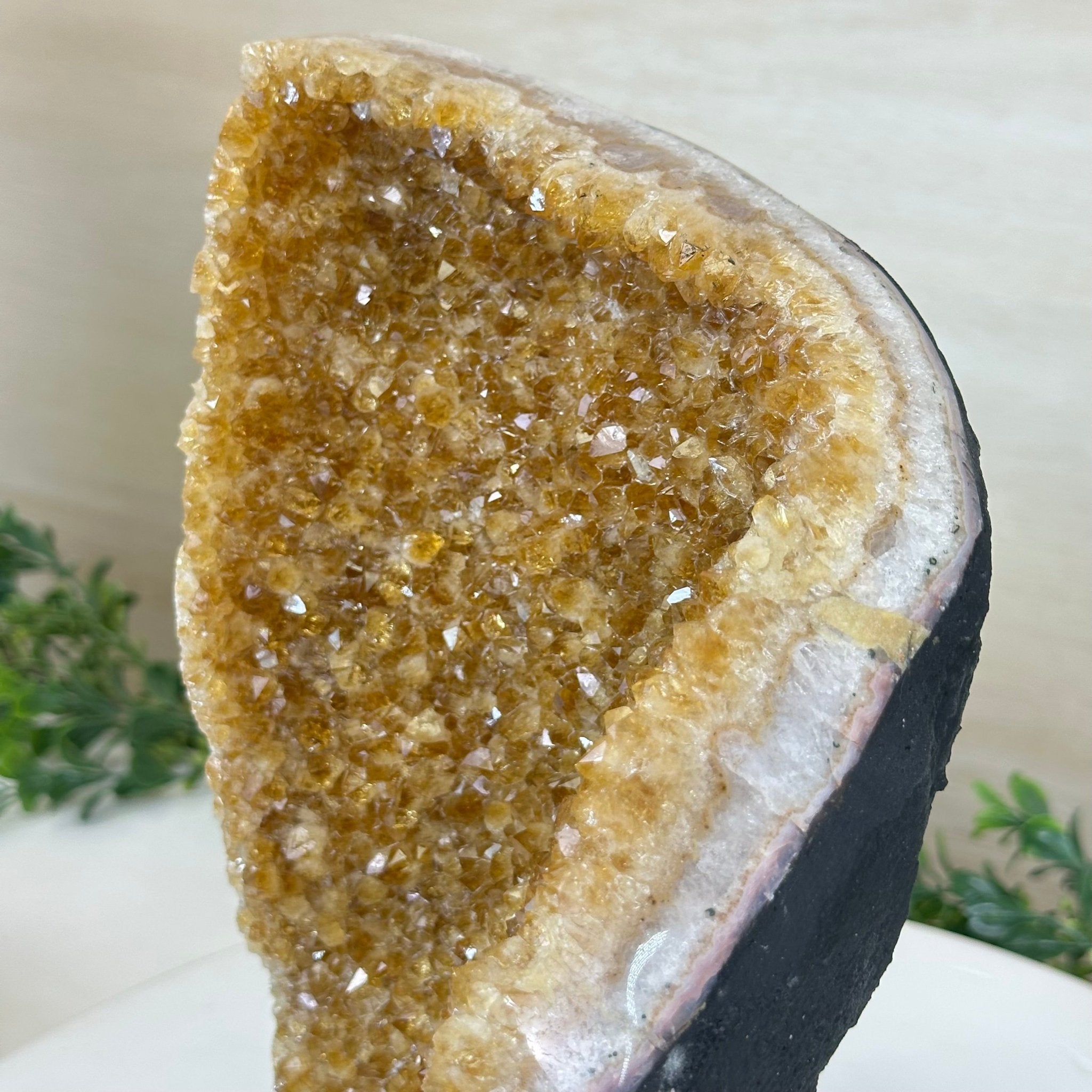 Extra Quality Citrine Cluster on Cement Base, 8.6 lbs and 10" Tall 5615 - 0061 - Brazil GemsBrazil GemsExtra Quality Citrine Cluster on Cement Base, 8.6 lbs and 10" Tall 5615 - 0061Clusters on Cement Bases5615 - 0061