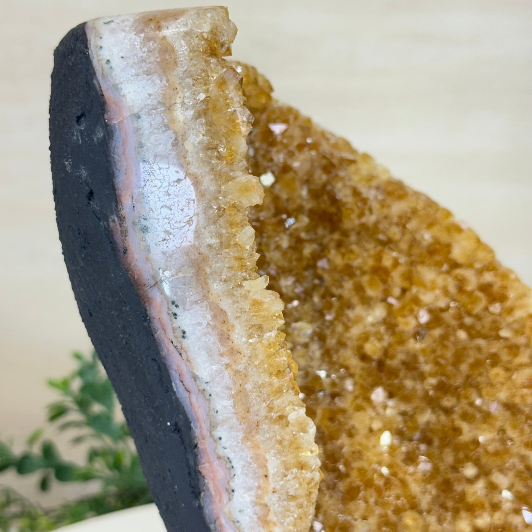 Extra Quality Citrine Cluster on Cement Base, 8.6 lbs and 10" Tall 5615 - 0061 - Brazil GemsBrazil GemsExtra Quality Citrine Cluster on Cement Base, 8.6 lbs and 10" Tall 5615 - 0061Clusters on Cement Bases5615 - 0061