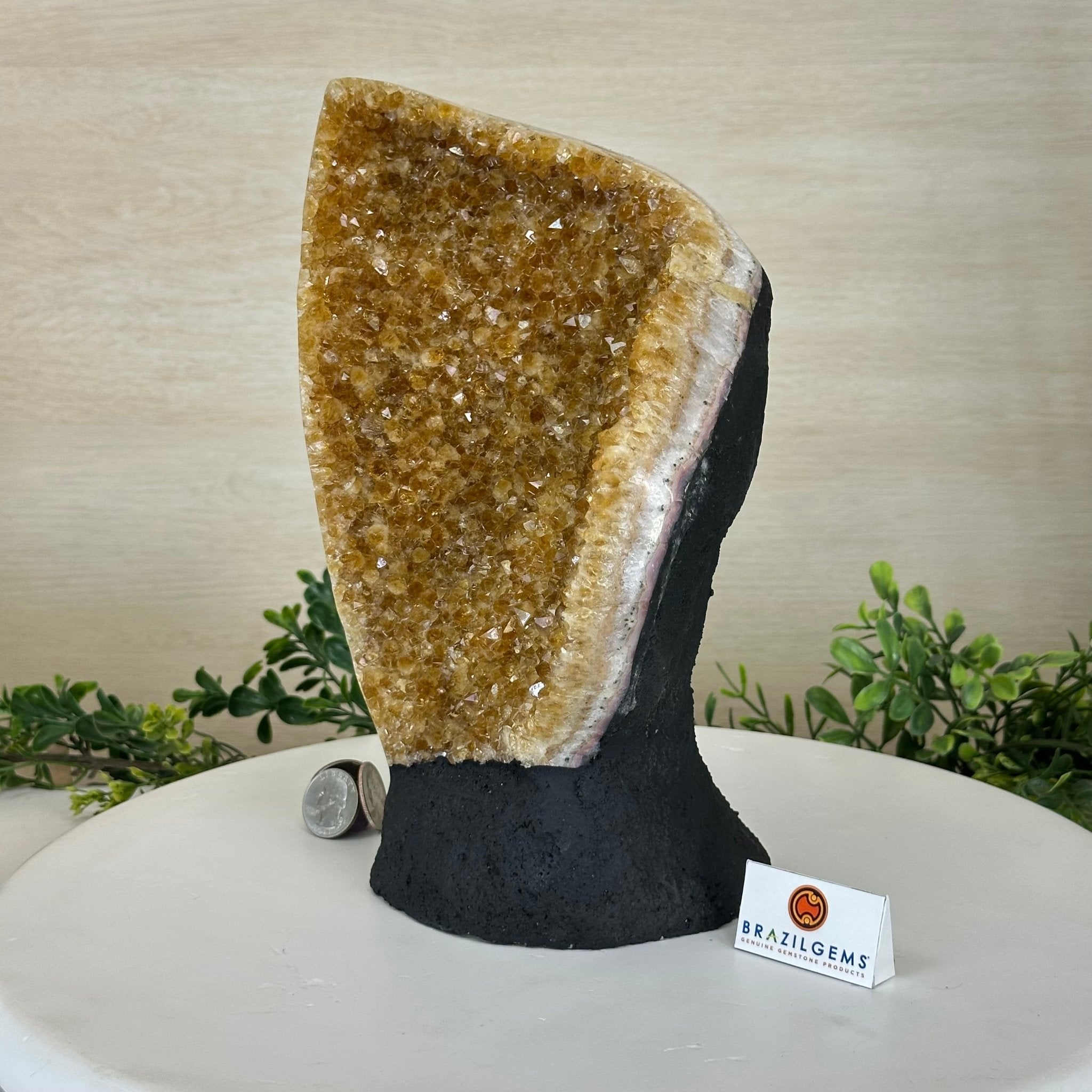 Extra Quality Citrine Cluster on Cement Base, 8.6 lbs and 10" Tall 5615 - 0061 - Brazil GemsBrazil GemsExtra Quality Citrine Cluster on Cement Base, 8.6 lbs and 10" Tall 5615 - 0061Clusters on Cement Bases5615 - 0061