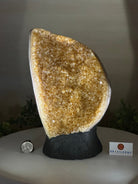 Extra Quality Citrine Cluster on Cement Base, 8.6 lbs and 10" Tall 5615 - 0061 - Brazil GemsBrazil GemsExtra Quality Citrine Cluster on Cement Base, 8.6 lbs and 10" Tall 5615 - 0061Clusters on Cement Bases5615 - 0061