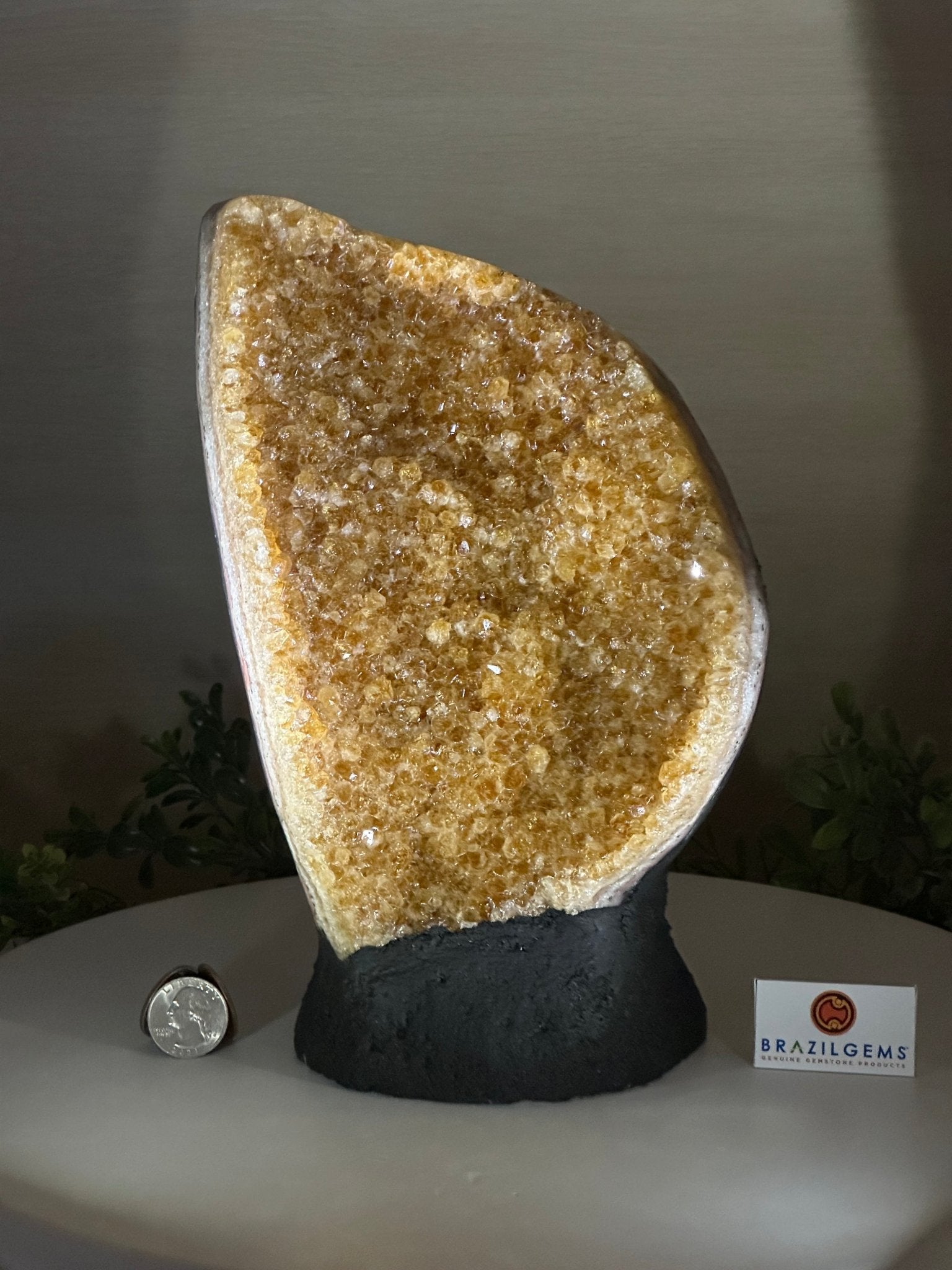 Extra Quality Citrine Cluster on Cement Base, 8.6 lbs and 10" Tall 5615 - 0061 - Brazil GemsBrazil GemsExtra Quality Citrine Cluster on Cement Base, 8.6 lbs and 10" Tall 5615 - 0061Clusters on Cement Bases5615 - 0061