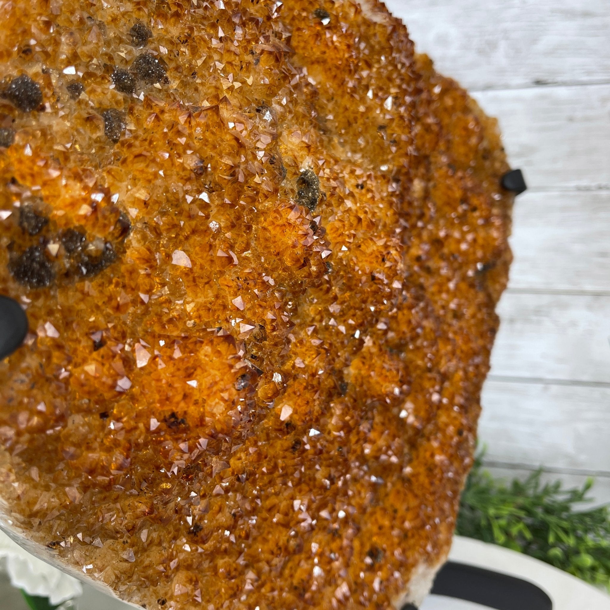 Extra Quality Citrine Heart Geode, metal stand, 33.1 lbs & 14.5" Tall Model #5465-0005 by Brazil Gems - Brazil GemsBrazil GemsExtra Quality Citrine Heart Geode, metal stand, 33.1 lbs & 14.5" Tall Model #5465-0005 by Brazil GemsHearts5465-0005