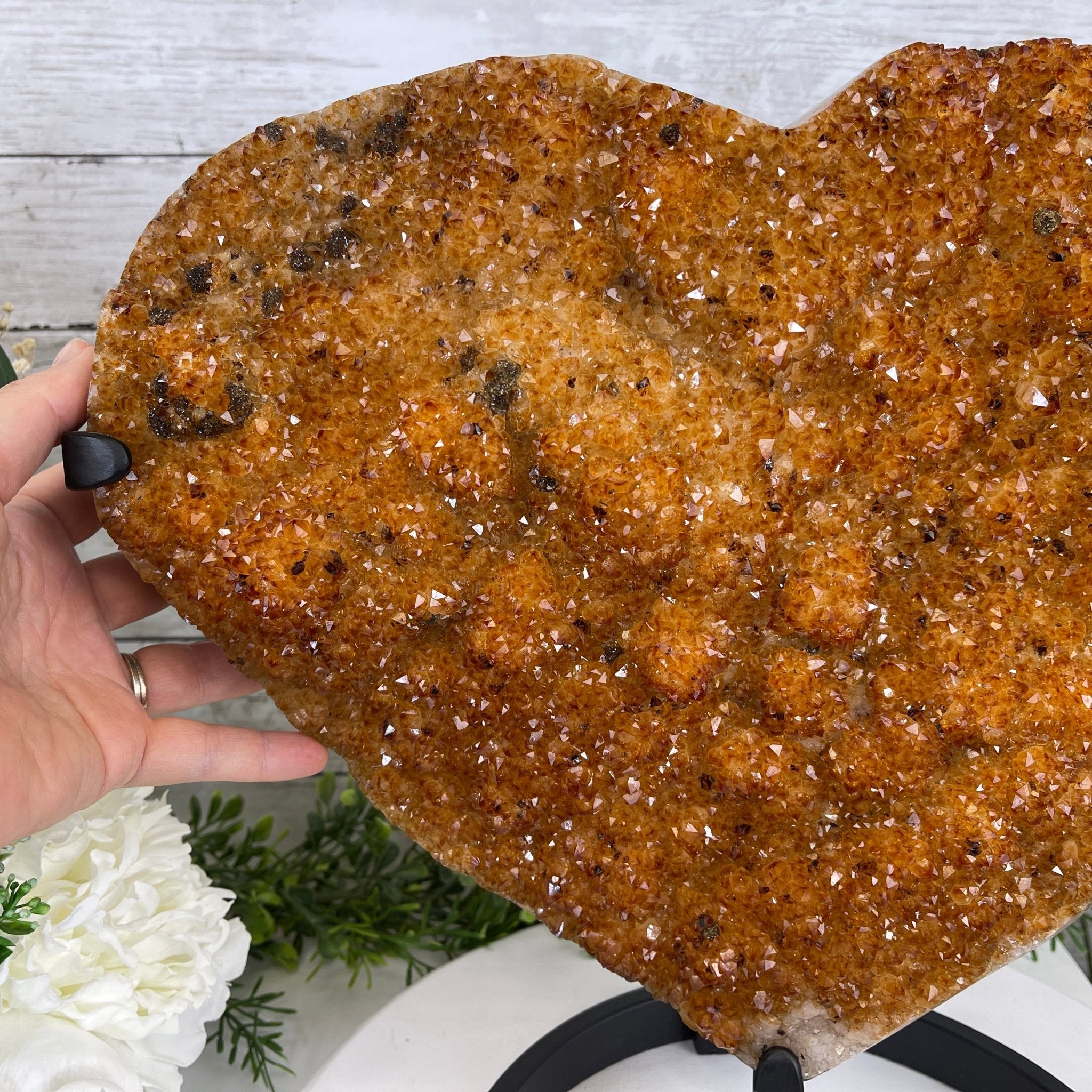 Extra Quality Citrine Heart Geode, metal stand, 33.1 lbs & 14.5" Tall Model #5465-0005 by Brazil Gems - Brazil GemsBrazil GemsExtra Quality Citrine Heart Geode, metal stand, 33.1 lbs & 14.5" Tall Model #5465-0005 by Brazil GemsHearts5465-0005