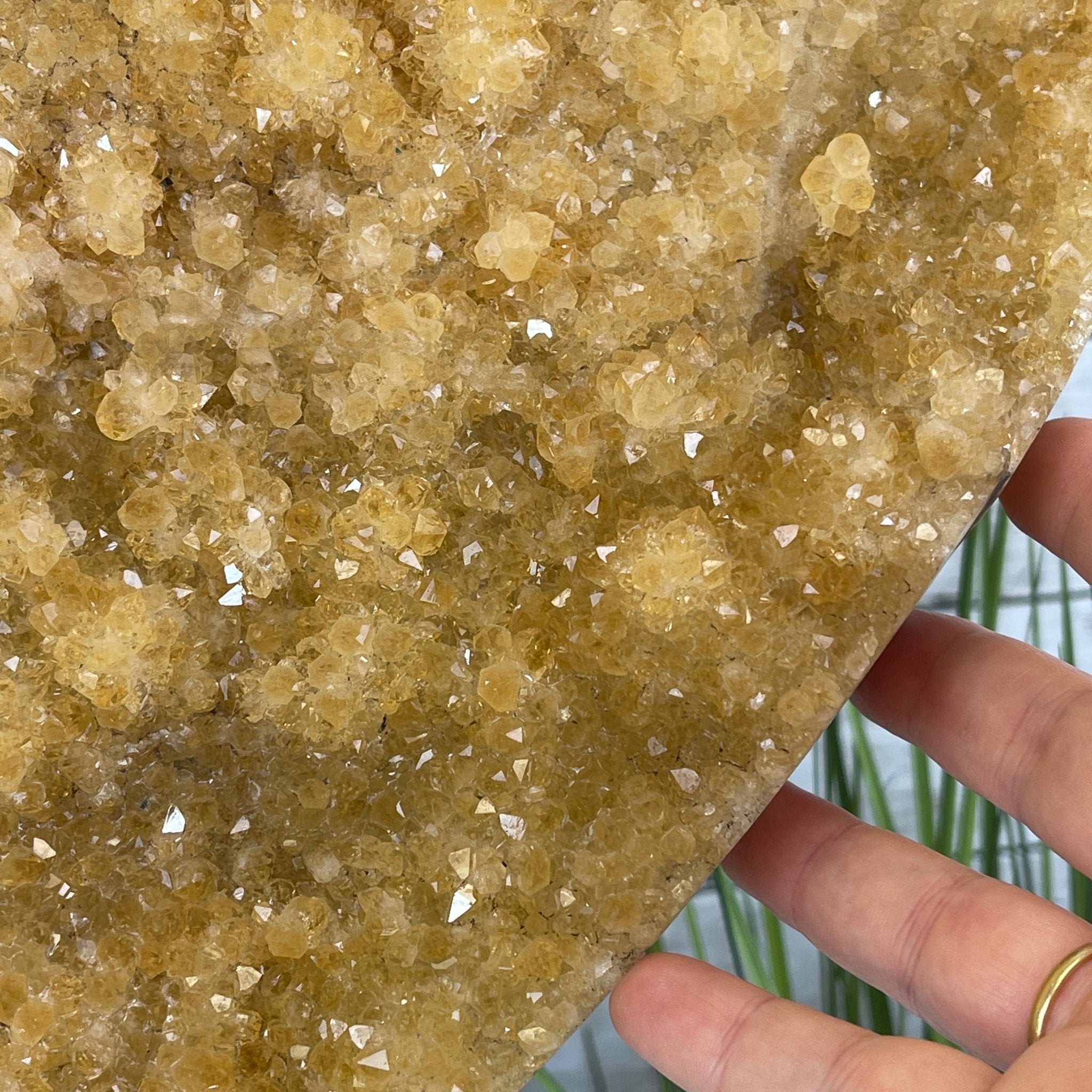 Extra Quality Citrine Heart Geode, metal stand, 49.3 lbs & 18.25" Tall Model #5465-0006 by Brazil Gems - Brazil GemsBrazil GemsExtra Quality Citrine Heart Geode, metal stand, 49.3 lbs & 18.25" Tall Model #5465-0006 by Brazil GemsHearts5465-0006