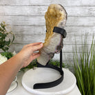 Extra Quality Citrine Heart Geode, metal stand, 49.3 lbs & 18.25" Tall Model #5465-0006 by Brazil Gems - Brazil GemsBrazil GemsExtra Quality Citrine Heart Geode, metal stand, 49.3 lbs & 18.25" Tall Model #5465-0006 by Brazil GemsHearts5465-0006