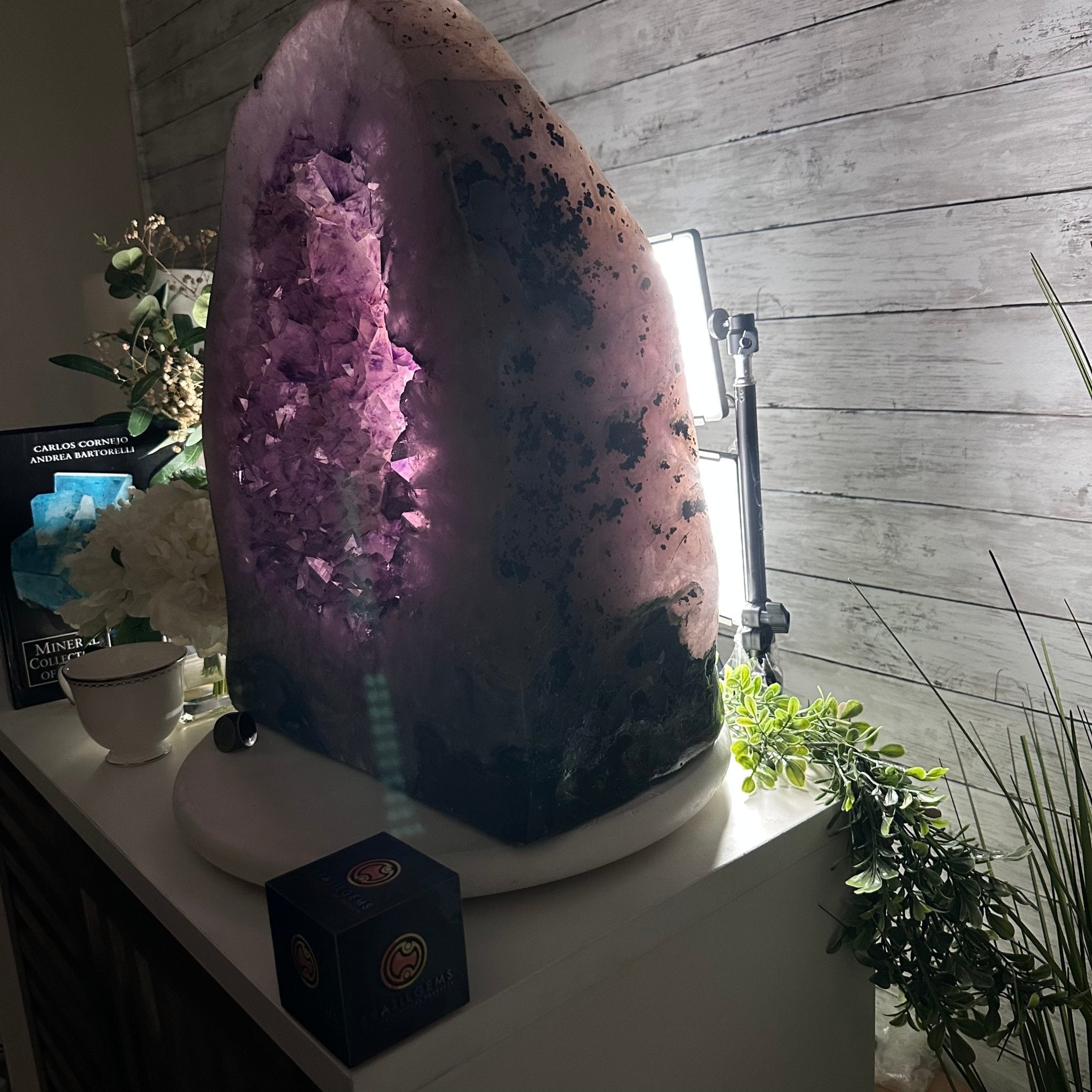 Extra Quality Polished Brazilian Amethyst Cathedral, 102.1 lbs & 18.3" tall Model #5602-0045 by Brazil Gems - Brazil GemsBrazil GemsExtra Quality Polished Brazilian Amethyst Cathedral, 102.1 lbs & 18.3" tall Model #5602-0045 by Brazil GemsPolished Cathedrals5602-0045